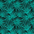 Palm Leaf Vector Seamless Pattern Background Illustration Royalty Free Stock Photo