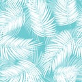 Palm Leaf Vector Seamless Pattern Background Illustration Royalty Free Stock Photo