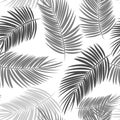 Palm Leaf Vector Seamless Pattern Background Illustration Royalty Free Stock Photo