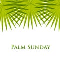 Palm leafs background. Vector illustration for the Christian holiday Palm Sunday.