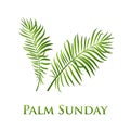 Palm leafs icon. Vector illustration for the Christian holiday Palm Sunday.