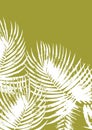 Palm leaves background