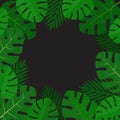 Palm leaves background. Aloha print. Palm tree tropical pattern.