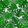 Palm leaves background. Aloha print. Palm tree tropical pattern.