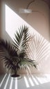 Palm leaves on the background of the wall and beautiful shadows falling from the plant