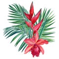 Palm leaves coconut, tropical flowers orchid, heliconia, watercolor botanical illustration