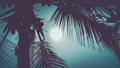 Palm leaves in dramatic tropical moon light