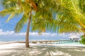 Palm leaves exotic wooden pier pathway into paradise island in Maldives. Tropical shore, palm trees white sand, tranquility Royalty Free Stock Photo