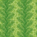Palm leaves on a green background with circles