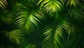 Palm leaves green pattern, tropical green background Royalty Free Stock Photo