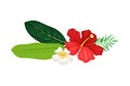 Palm Leaves with Hibiscus and Plumeria Flowers Hawaiian Vector Composition