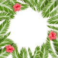 Palm leaves and hibiscus. Summer background. Vector Royalty Free Stock Photo