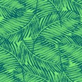 Palm leaves illustration. Tropical jungle plant.