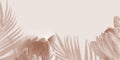 Shadow Tropical Palm leaves and Protea flower on light pastel Background. Creative copyspace banner. Unobtrusive