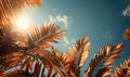 Palm leaves oin the sky with sepia tones.Palm tree with coconut, retro style photo. Summer travel destination. Fluffy Royalty Free Stock Photo