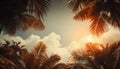 Palm leaves oin the sky with sepia tones.Palm tree with coconut, retro style photo. Summer travel destination. Fluffy Royalty Free Stock Photo