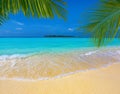 Palm leaves over a sandy tropical beach and turquoise sea, Maldives Royalty Free Stock Photo