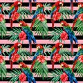 Palm leaves and parrot red macaw. Wildlife bird illustration, seamless pattern. Striped simple background Royalty Free Stock Photo