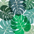 Palm leaves pattern Vector illustration