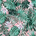 Palm leaves pink background pattern