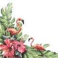 Palm leaves with red hibiscus flowers, pink flamingos and seashells. Watercolor illustration. Composition of a large set Royalty Free Stock Photo