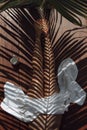 Palm leaves reflection on body Royalty Free Stock Photo