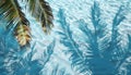 Palm leaves shadow on blue water, creating a serene tropical ambiance for your designs