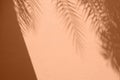 Palm leaves shadow on peach color cement plaster wall texture tropical summer background Royalty Free Stock Photo