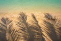 Palm leaves shadow on sand on sea shore Royalty Free Stock Photo