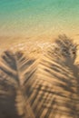 Palm leaves shadow on sand on tropical paradise idyllic beach with clear transparent turquoise water in sunny day. Royalty Free Stock Photo