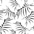 Palm leaves silhouette on the white background. Seamless pattern with tropical plants. Royalty Free Stock Photo