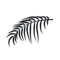 Palm leaves silhouettes isolated on white background Royalty Free Stock Photo