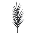 Palm leaves silhouettes isolated on white background Royalty Free Stock Photo