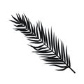 Palm leaves silhouettes isolated on white background Royalty Free Stock Photo