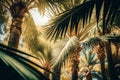 palm leaves in sunlight background Generative AI Royalty Free Stock Photo