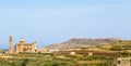 Palm leaves and Ta 'Pinu Church