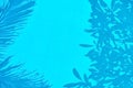 Palm leaves and trees branches are reflected in the outdoor swimming pool under the open sky. Royalty Free Stock Photo