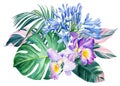Palm leaves, tropical flowers orchid, Agapanthus, lily of the nile, watercolor botanical illustration