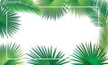 Palm leaves tropical frame Sukkot Rosh Hashanah Jewish Holiday decoration blank page