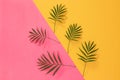 Palm leaves on vibrant pink and yellow background
