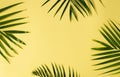 Palm leaves on yellow background. Summer concept. Flat lay, top view, copy space