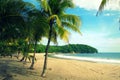 Palm lined carillo beach, Guanacaste, Costa Rica Royalty Free Stock Photo