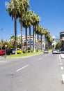 Palm-lined street in Puerto de la Cruz Royalty Free Stock Photo