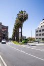 Palm-lined street in Puerto de la Cruz Royalty Free Stock Photo