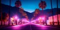 palm-lined streets as neon lighting infused energy and vibrancy into the scene