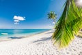 Palm luxury beach with white sand and quiet ocean. Tropical banner