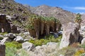 Palm oasis in Anza Borrego Desert. California, USA Royalty Free Stock Photo