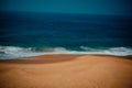 Palm and Ocean coast with big waves in India