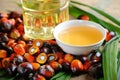 Palm Oil fruits Royalty Free Stock Photo