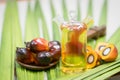 Palm oil fruits Royalty Free Stock Photo